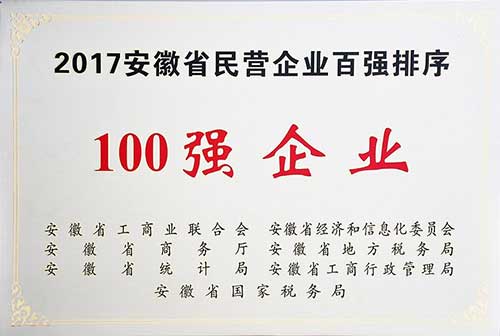 2017年度安徽省民營企業百強
